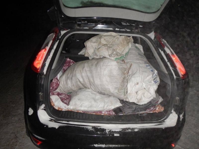 Криминал, Происшествия, Томские новости, накротики марихуана задержали арестовали курьеры наркотики в Томске конопля купить В Томской области полицейские остановили иномарку с двумя мешками марихуаны