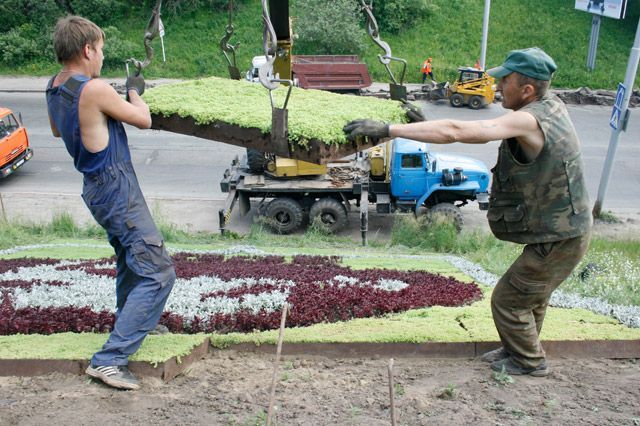 Дороги, Зелень в городе, Томские новости, коммунальный мост зелень благоустройство В Томске из-за работ над цветочным гербом ограничат движение вблизи Коммунального моста