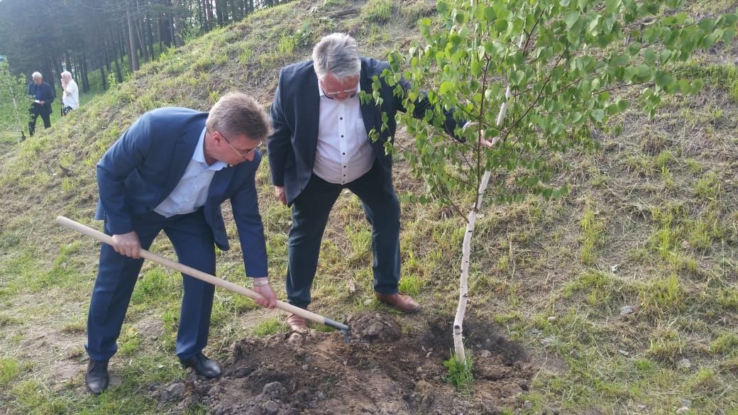 Зелень в городе, Томские новости, форум архитектура главные архитекторы города В Томске высадили именную аллею гостей Архитектурного форума