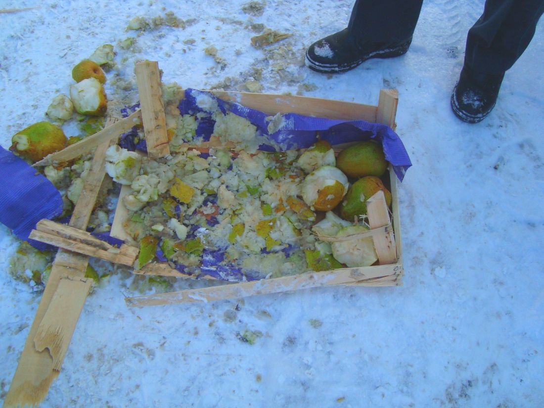 Еда, Томские новости, санкционные продукты груши из Польши уничтожают еду В Томске нашли и уничтожили почти 12 кг польских груш