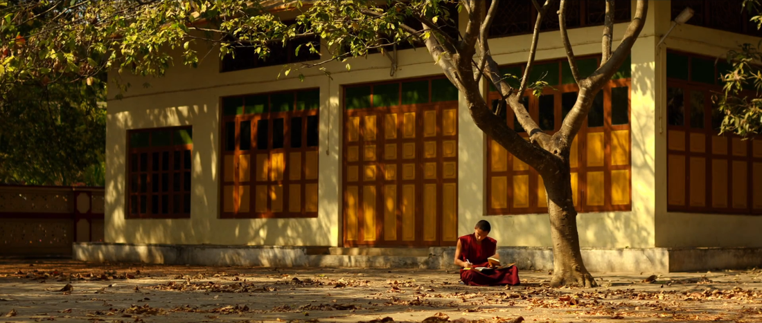 Культура в Томске, Томские новости, шафрановое сердце кино что посмотреть новые фильмы кинематограф культура премьеры сезона В Томске покажут фильм-медитацию «Шафрановое сердце»