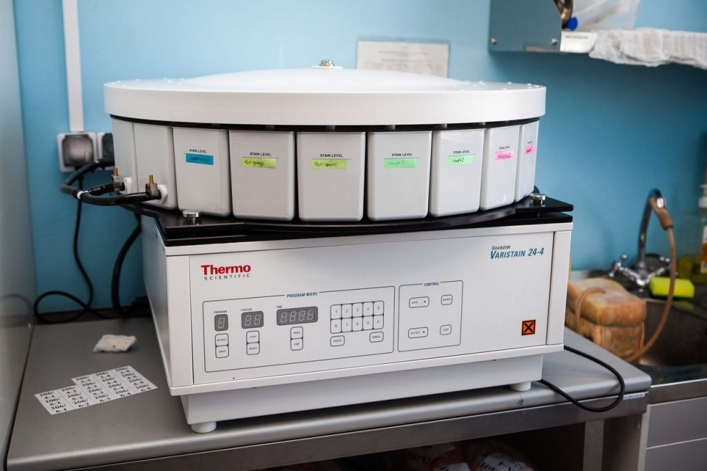 Медицина и здоровье, Предприятия Томска и области, Томские новости, ифар лечение лекарственные препараты томская фармакология Первое томское инновационное лекарство получило разрешение на клинические испытания