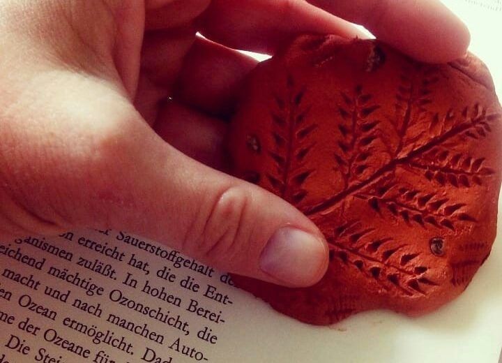 Дети города, Конкурсы и акции, Томские новости, Томск куда отдать ребенка на лето площадки для детей «Клуб юных исследователей» откроется Томске