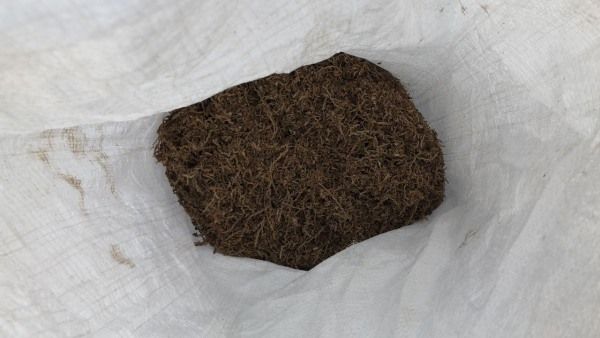 Криминал, Томские новости, марихуана ганджубас травокур задержали Томича задержали в поле с мешком марихуаны