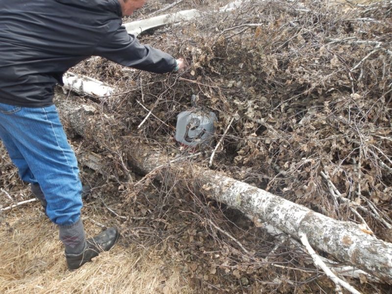 Криминал, Происшествия, Томские новости, наркотики конопля задержали марихуана тайник Житель Томской области прятал более килограмма марихуаны в тайнике в поле