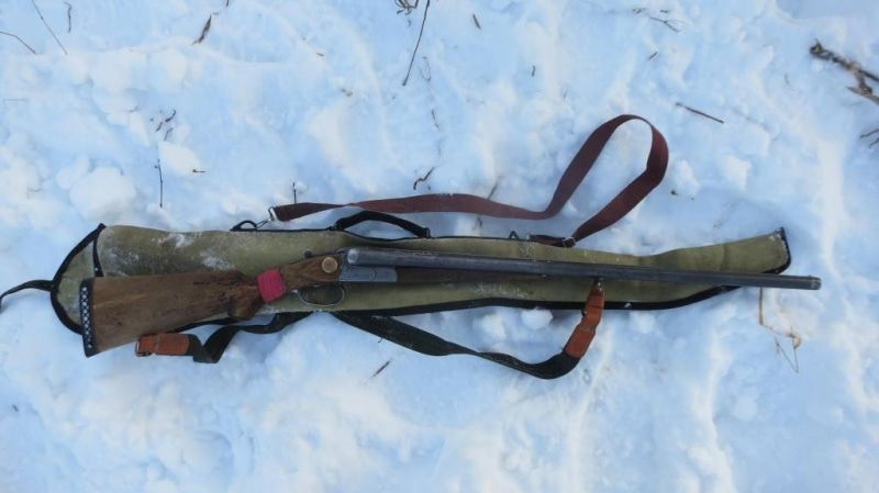 Криминал, Томские новости, полиция косуля браконьерство задержали арестовали охота в Томской области В Томской области задержали браконьера, убившего краснокнижную косулю