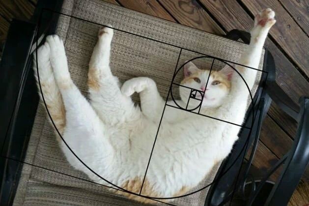 Конкурсы и акции, Образование и наука, Томские новости, золотое сечение научные мероприятия конференции Томичам расскажут о «золотом сечении» на научно-популярном ток-шоу