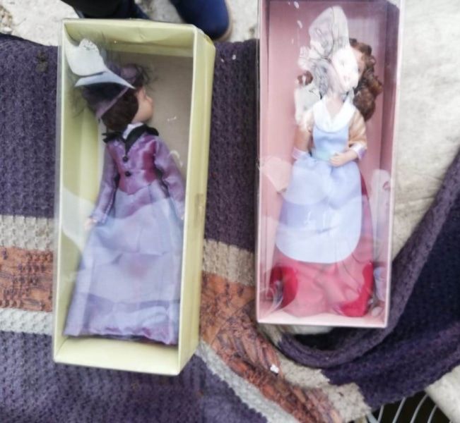 Криминал, Томские новости, куклы коллекция украли воры дачные участок Степановка У томички украли несколько коллекционных кукол