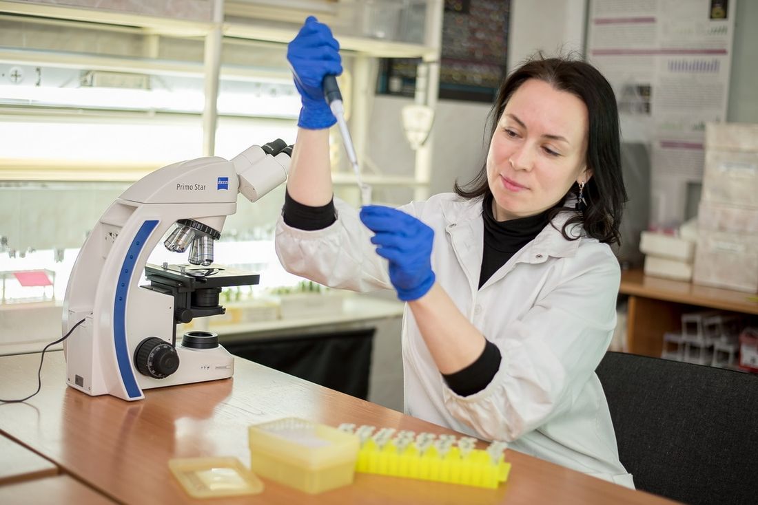 Медицина и биотехнологии в ТГУ, Образование и наука, ТГУ, Томские новости, бактерии инженерия ТГУ биология БИ Томские ученые будут искать новые бактерии в Сибири