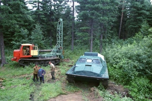 ЗД ТО, Томские новости, госдума поправки закон Кравченко депутаты парламент Томский сенатор инициировал внесение изменений в Лесной кодекс РФ