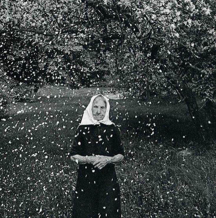 Культура в Томске, Томские новости, литовская фотография карта историй выставки фотографы в Томске Томичам расскажут о секретах популярности литовской фотографии