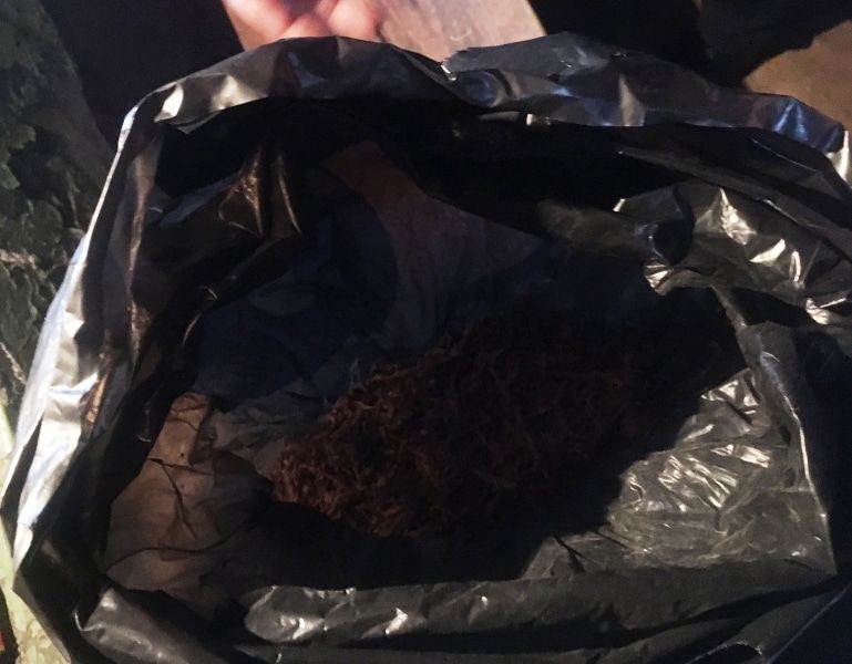 Криминал, Томские новости, наркотики марихуана конопля в Томске Житель Томской области хранил в бане полкило марихуаны