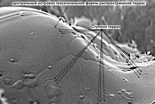 Медицина и биотехнологии в ТГУ, Образование и наука, ТГУ, Томские новости, титан сплав новый материал материаловеды ТГУ Томские ученые разработали пористый материал для имплантатов с улучшенной биосовместимостью