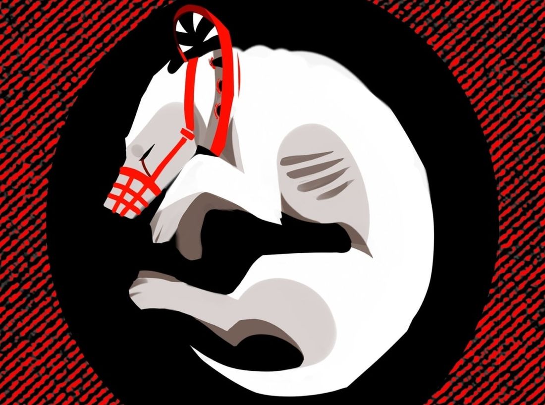 Томские новости, животные запрет защита митинги в Томске В Томске пройдет митинг против жестокого обращения с животными