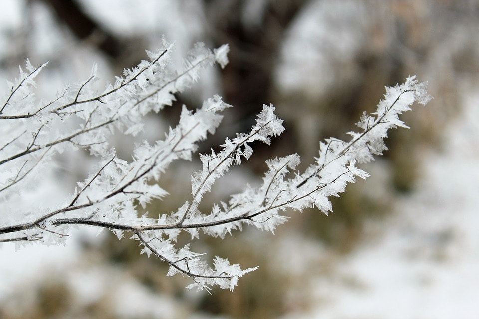 Медицина и здоровье, Образование и наука, Томские новости, обморожение приор защита ТГУ медицина лечение холодовых ожогов Разработанный томскими учеными первый в мире прибор для лечения обморожений начнут испытывать на добровольцах