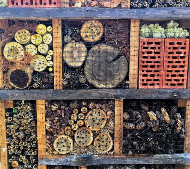 Природа, Томские новости, Экология, ботанический сад отели для животных пчел и жуков полнео дырками В томском ботсаду появились отели для насекомых