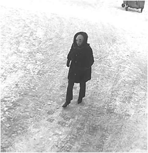 Криминал, Происшествия, Томские новости, грабеж обворовала пенсионеров злоумышленница нападала на пожилых людей воровка грабительница разбойн В Томске ищут женщину, которая притворялась сотрудницей УК и грабила пенсионерок