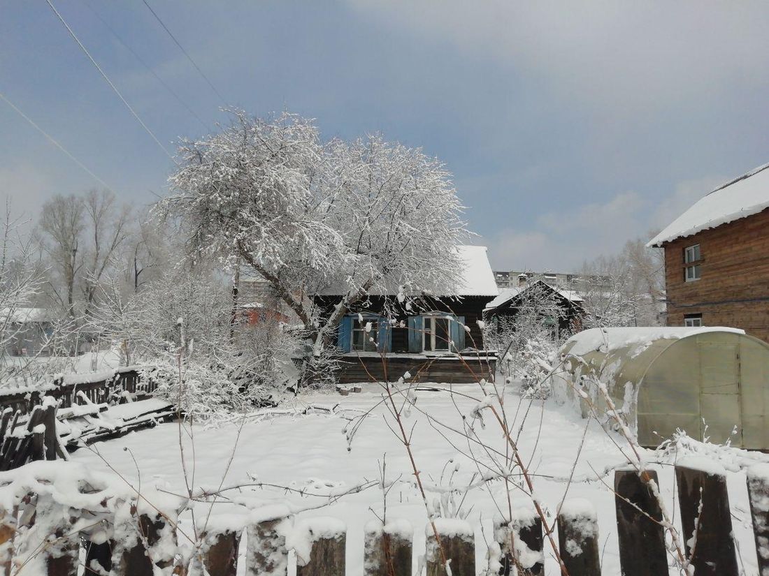 Погода и природа, Стихия в Томске и области, Томские новости, снег ветер погода шторм Семьсот жителей Томской области остались без света из-за непогоды