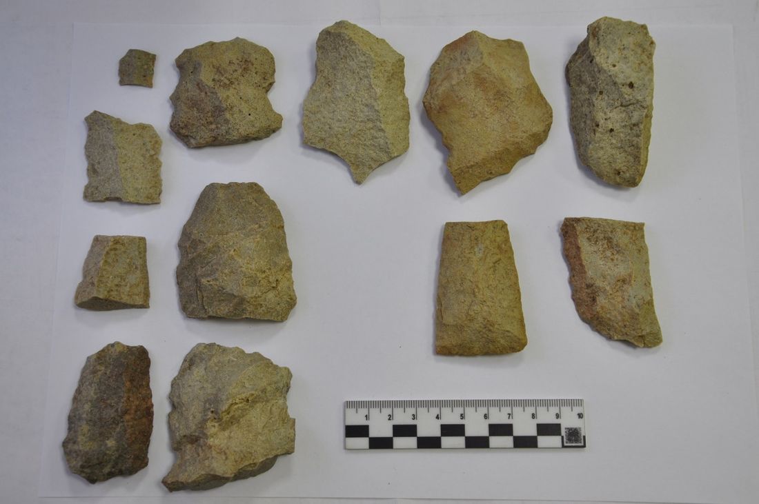 Томские новости, памятник наследие история археология в Томской области Располагающийся в Томской области памятник эпохи верхнего палеолита стал объектом культурного наследия