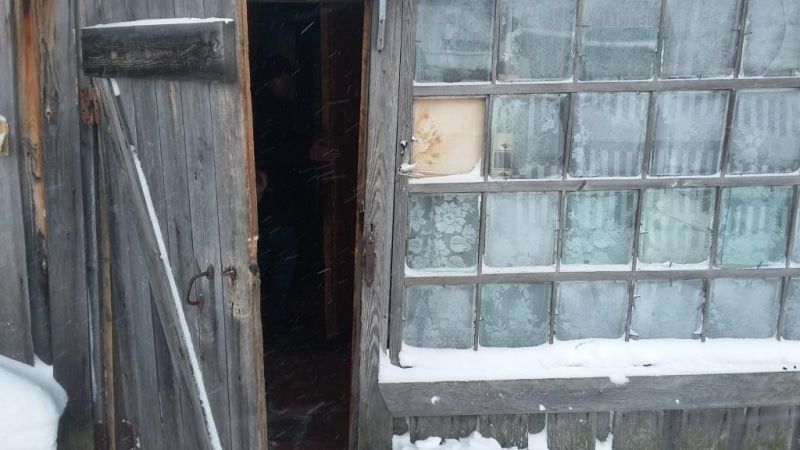 Криминал, Происшествия, Томские новости, украл дикоросы своровал криминал вор шишки Житель Томской области украл у знакомого почти 500 кг дикоросов