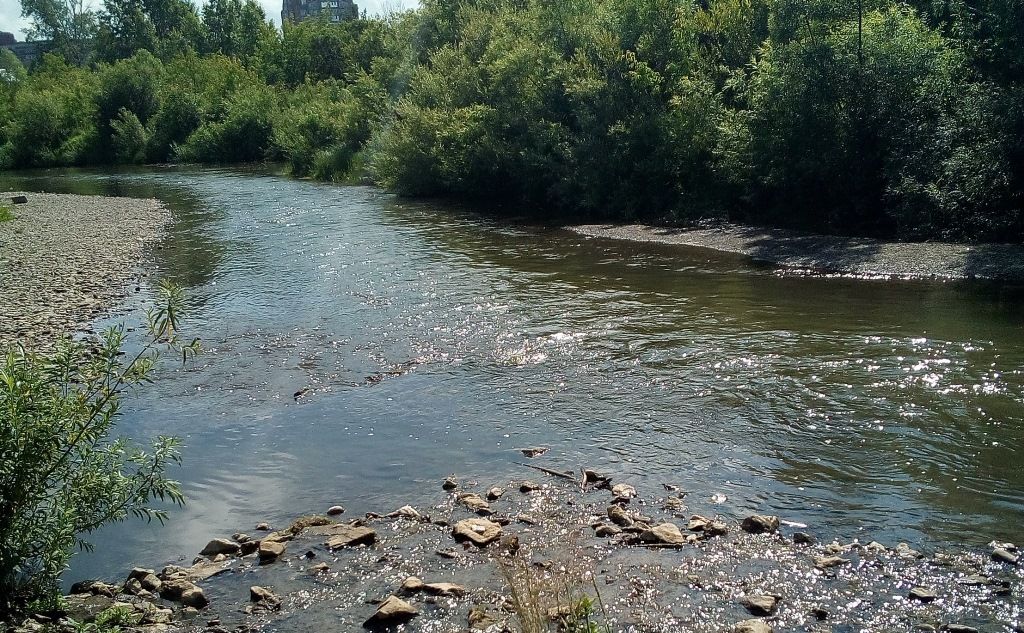 ТГУ, Томские новости, Экология, ушайка очистка стоки загрязнение свалки экология Эколог ТГУ: самая грязная река Томска становится чище