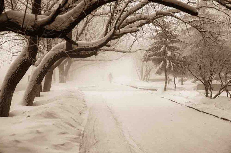 Культура в Томске, Томские новости, выставка экскурсии Дронов Томск старые фото куда сходить культура Томичей приглашают на экскурсии по фотовыставке Михаила Дронова