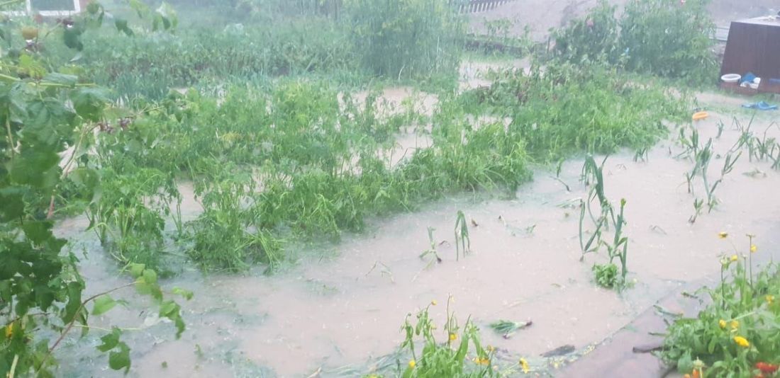 Погода и природа, Стихия в Томске и области, Томские новости, град куриное яйцо село катаклизм В одном из сел Томской области прошел град размером с куриное яйцо (ВИДЕО)