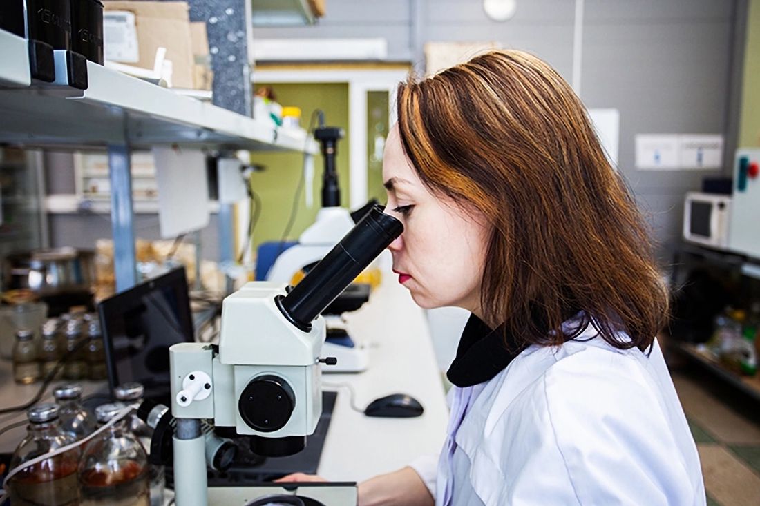 Образование и наука, ТГУ, Томские новости, рыба микропластик отравление экология интересные новости Томска биология экология Микропластик плохо влияет на ЖКТ сибирских рыб — томские ученые