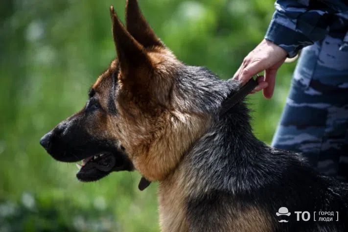 Безопасность, Происшествия, Томские новости, заминировали телефонный терроризм интересные новости Томска сводка происшествий жесть Три торговых центра эвакуировали в Томске из-за сообщений о минировании