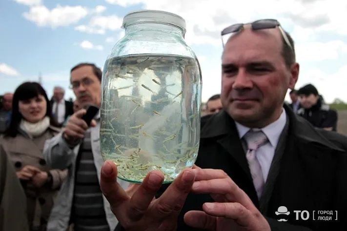 Предприятия Томска и области, Природа, Томские новости, логоцентр логистика интересные новости Томска рыба плавает предприятия развитие экономики Инвестор введет рыбный логоцентр за 50 млн руб. в Томске в конце года