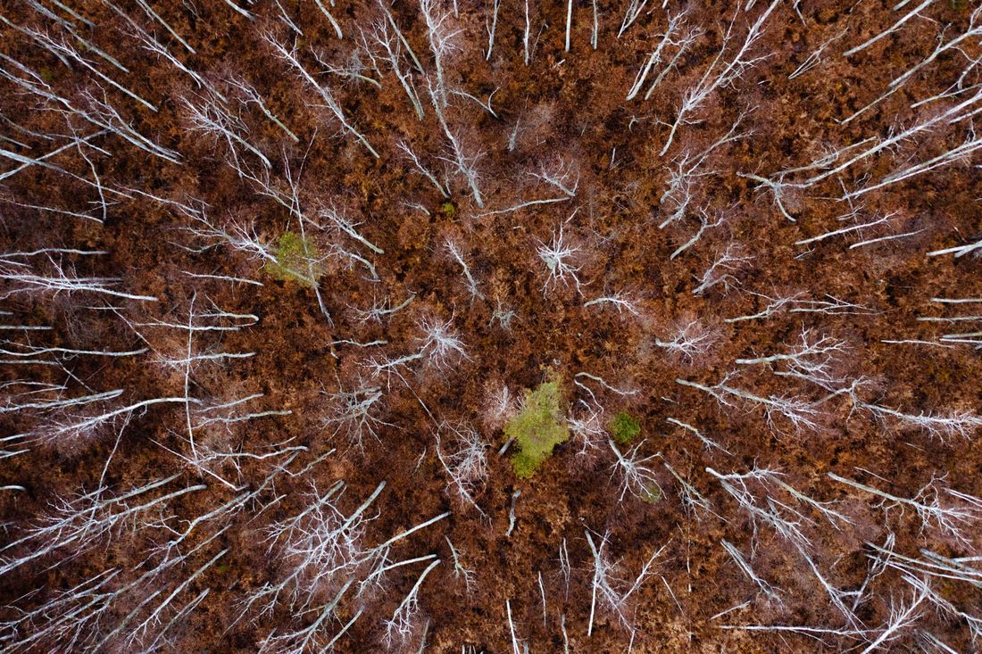 Газпромнефть-Восток, Томские новости, газпромнефть-восток газпром интересные новости Томска экология Стартовал конкурс экологических решений томской молодежи