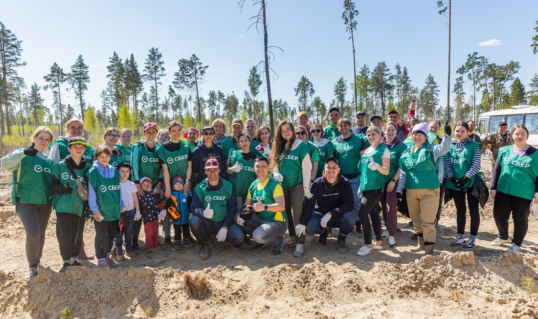 Конкурсы и акции, Томские новости, экология высадка деревьев акция интересные новости Томска посадки Сотрудники Сбера посадили 10 тысяч новых деревьев в Томском районе