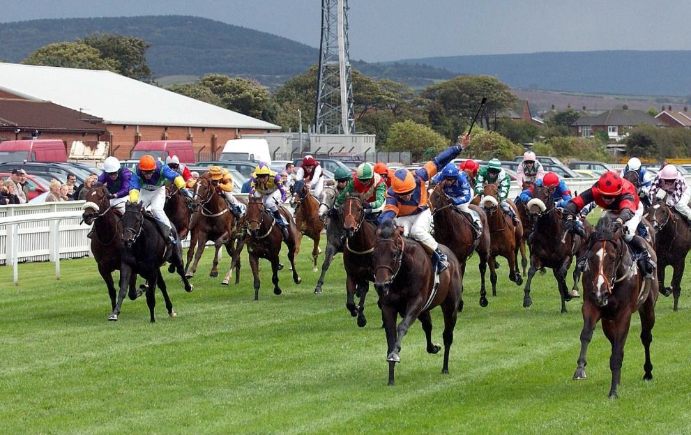 Томский Обзор, новости, Мировые новости В Англии спустя 14 месяцев открылись ипподромы