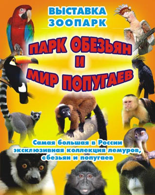 Мир Обезьян Фото