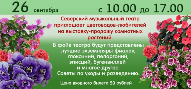 Купить Цветы Г Курганинск