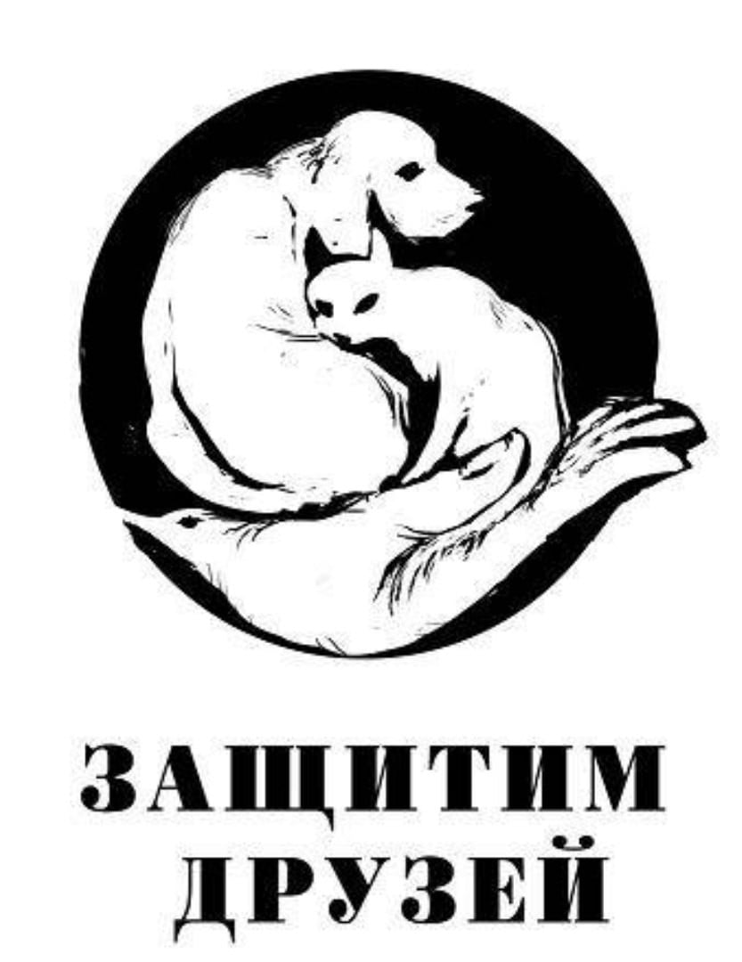 Девиз животных. Защита животных. Лозунги по защите животных. Слоган о защите животных. Листовки о защите животных.