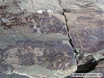 Томский Обзор, новости, Мировые новости В Горном Алтае найдена скала с руническими знаками В Горном Алтае найдена скала с руническими знаками