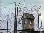 Томский Обзор, новости, Мировые новости Заключенные одной из тюрем Тольятти объявили голодовку протеста Заключенные одной из тюрем Тольятти объявили голодовку протеста