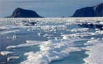 Томский Обзор, новости, Мировые новости Российских ученых наградили за таяние арктических льдов Российских ученых наградили за таяние арктических льдов