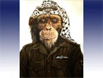 Томский Обзор, новости, Мировые новости Портрет обезьяны Микки приняли за карикатуру на Ясира Арафата Портрет обезьяны Микки приняли за карикатуру на Ясира Арафата