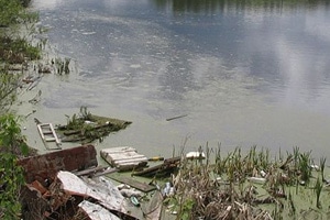 Томские новости, Озера томского поселка Самусь очистили от мусора Озера томского поселка Самусь очистили от мусора