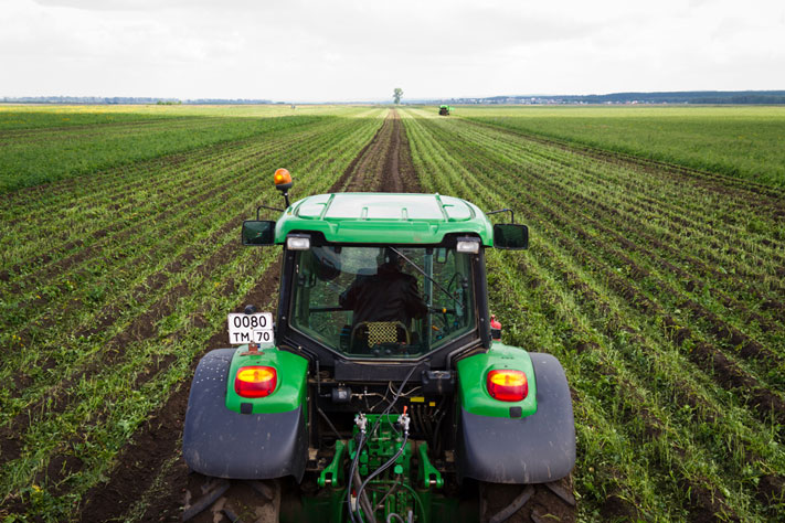 Томские новости, сбор урожая уборка урожая зерновые картошка капуста В Томской области стартовала уборочная кампания