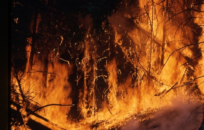 Лесные пожары, Томские новости, пожар лес горит огонь сгорели тимирязевский бор горит За выходные в Томской области ликвидировали три лесных пожара