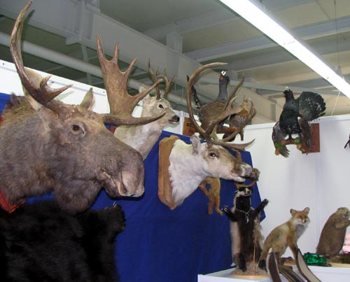 Фото: Е.Фаткулина