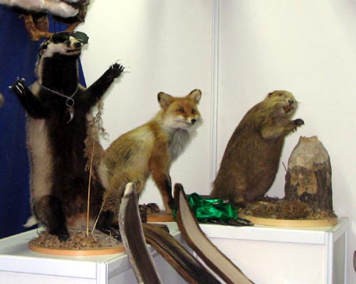 Фото: Е.Фаткулина