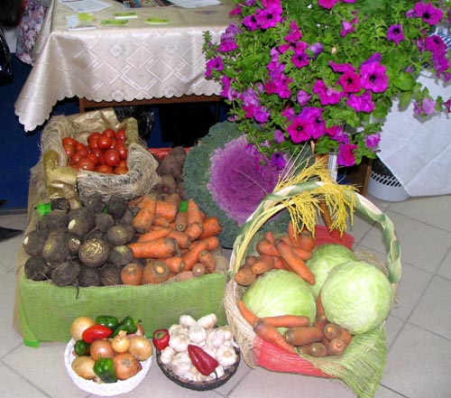 Фото: Е.Фаткулина