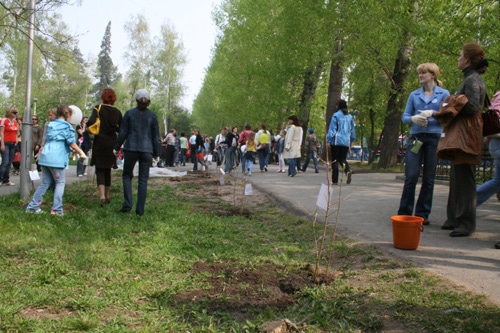 Посадка деревьев в Городском саду