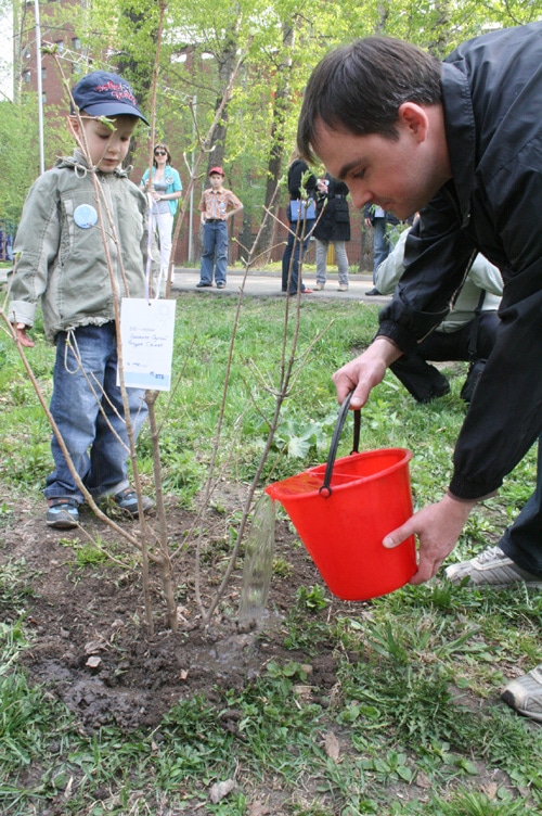 Посадка деревьев в Городском саду