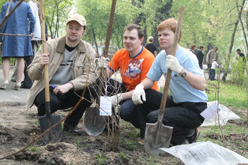 Посадка деревьев в Городском саду