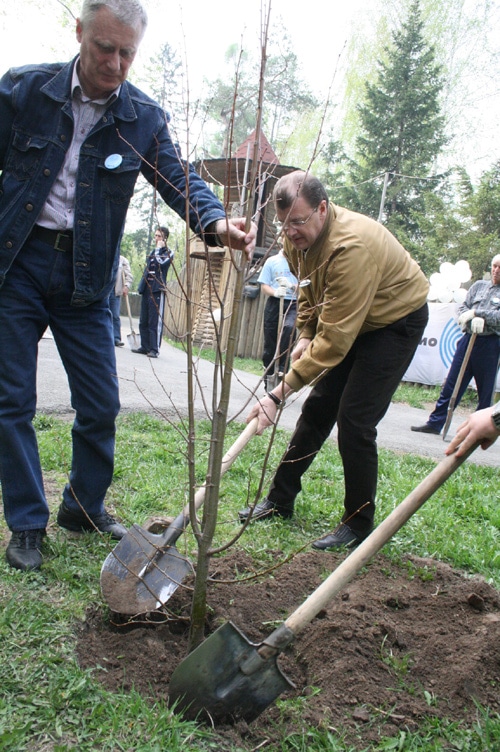 Посадка деревьев в Городском саду
